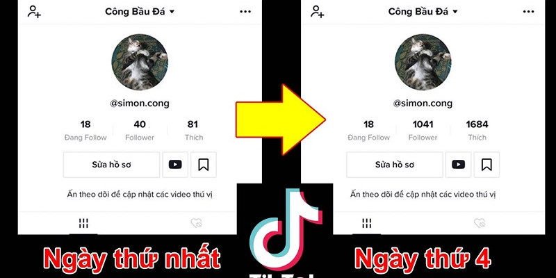 Cách tăng follow tiktok cực nhanh - Giá siêu rẻ mà bạn nên biết