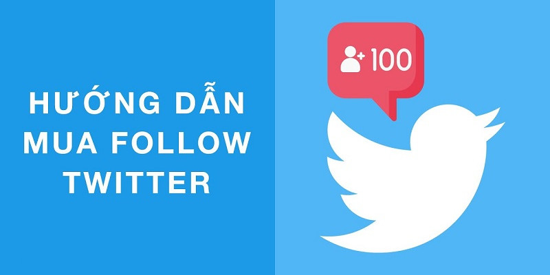 Sự khác biệt giữa dịch vụ mua Follow Twitter uy tín và không uy tín