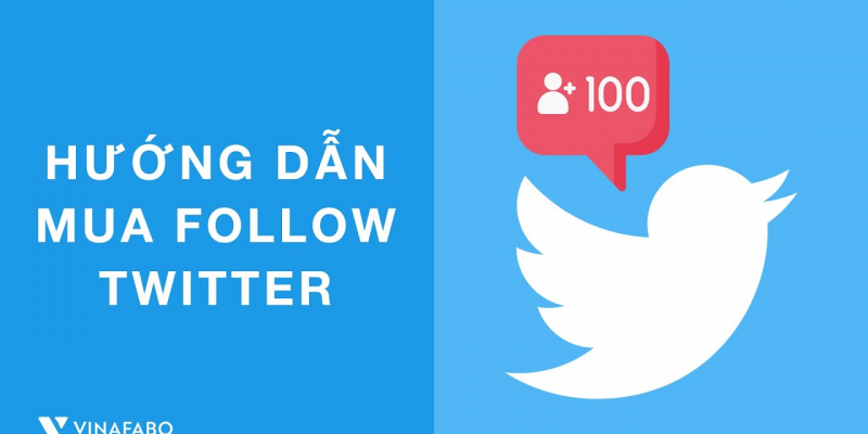 Phân tích và đánh giá tác dụng của việc Mua Follow Twitter