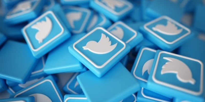 Automarketing - Nơi đầu tiên cung cấp gói dịch vụ seeding Twitter hot nhất 2022