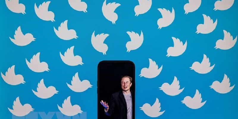 Những lý do không nên Mua Account Twitter đã có số lượng follow lớn